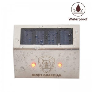 Ánh sáng định dạng vạn vật có năng lượng mặt trời