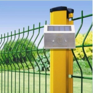 Ánh sáng định dạng vạn vật có năng lượng mặt trời