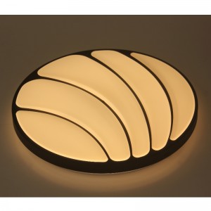 CX22 ceiling Light