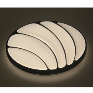 CX22 ceiling Light