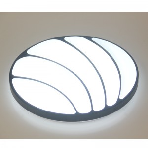 CX22 ceiling Light
