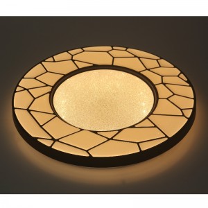 CX22 ceiling Light