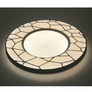 CX22 ceiling Light