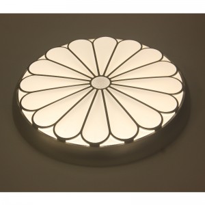 CX22 ceiling Light