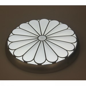 CX22 ceiling Light