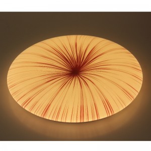 CX250 ceiling Light