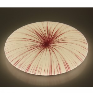 CX250 ceiling Light
