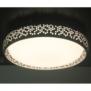 CX23ceiling Light