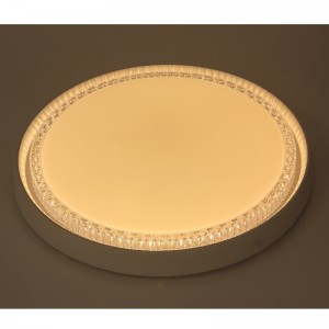CX312 ceiling Light
