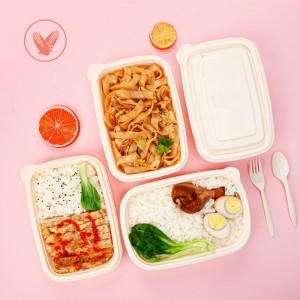 Tập hợp thức ăn nhanh thùng chứa đồ ăn nhanh thực phẩm có thể phóng sinh từ đáy biển