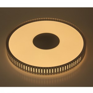 CX360x360dpi Ánh điện