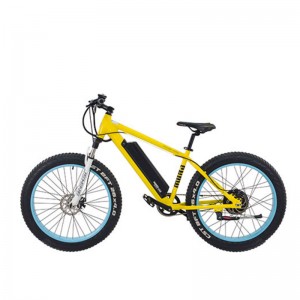 Tên sản phẩm S1-X1