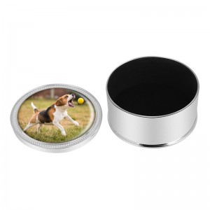 Bình đựng tro chó bằng kim loại