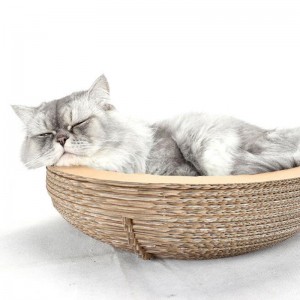 Giấy mèo bát trầy xước