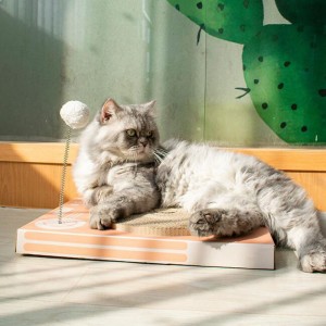 Bộ đồ cào mèo