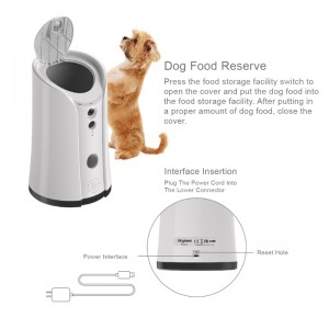 Chó điều trị máy ảnh