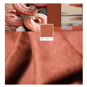 Côngnghệ Bionic đơn sắc BNT1906