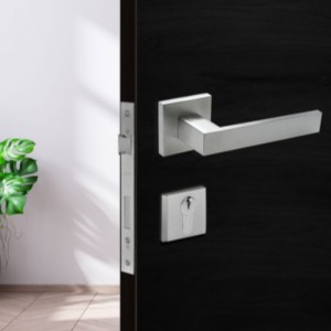 Khóa cảm giác thế chấp đòn bẩy bằng thép không gỉ F5450, Khóa tay cầm có khóa