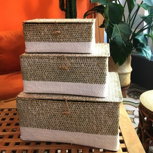 Hộp dệt rong biển có lưu trữ bao phủ