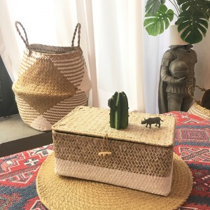 Hộp dệt rong biển có lưu trữ bao phủ