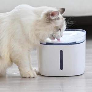 Đài phunnước tự động thông minh