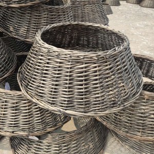 Cơ sở cây Giáng sinh