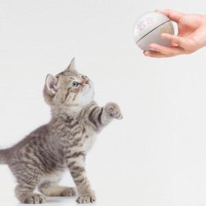 Tương tác Laser Cat Ball Đồ chơi