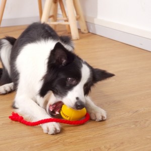 Cao su rò rỉ đồ chơi chó snack