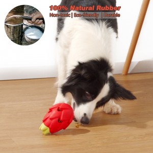 Đồ chơi cao su chống cắn chó
