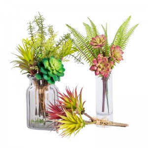 mô phỏng caonhân tạo mọngnước