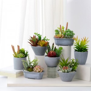 Bánnóngnhân tạo mọngnước trong chậu melamine để bán