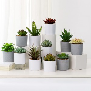 Bánnóngnhân tạo mọngnước trong chậu melamine để bán