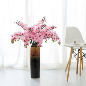 Bán hot chinhánh đơnnhân