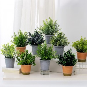 Cỏnhân tạo trong chậu để bán