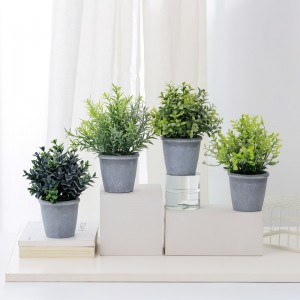 Cỏnhân tạo trong chậu để bán