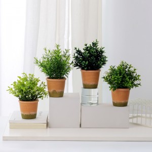 Cỏnhân tạo trong chậu để bán