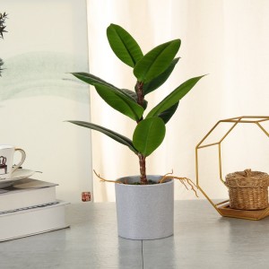 bán toàn bộ câynhân tạo cảm ứng thực sự trongnồi