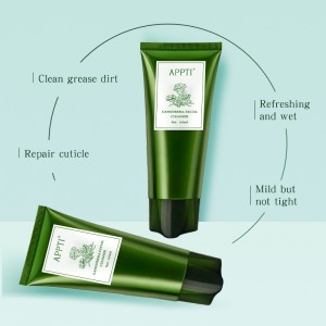 Nhãn riêng Anti Acne Aloe Vera Wash Wash Facial Cleanser Ganoderma Essence Fash Wash