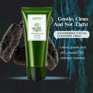 Nhãn riêng Anti Acne Aloe Vera Wash Wash Facial Cleanser Ganoderma Essence Fash Wash