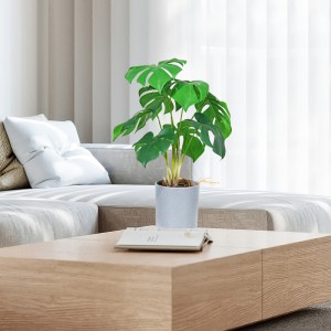 Nhà máy trực tiếp cung cấp hot salenhân tạo màu xanh lá cây trang trí với cảm giác đẹp và cảm động thực sự