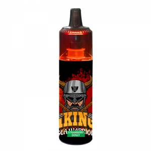 6000 puffs PEN VAPE E-CIGARETTE VAPE