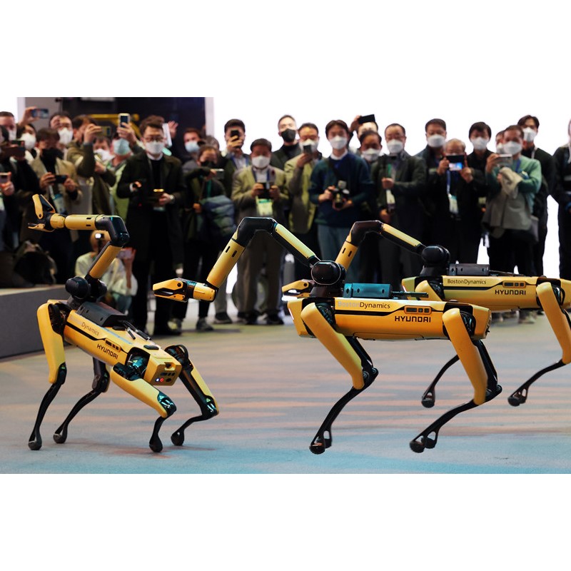 Loại di động mới trên màn hình tại CES 2022