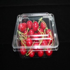 Vỏ sò bao bì thực phẩm