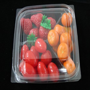 Vỏ hộp thức ăn trong suốt