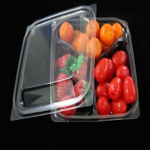 Vỏ hộp thức ăn trong suốt