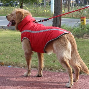 Amazon hàng đầungười bán cánhân khai thác chó may mặc phản chiếu cho chó trung bình và lớn