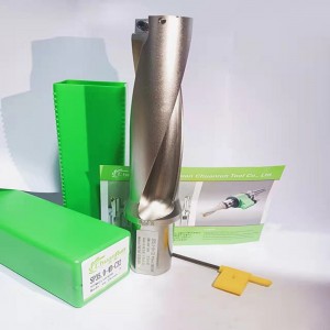 3d u khoan chèn spmg