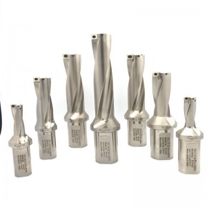 5d u khoan chèn spmg