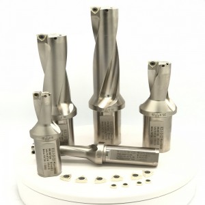 5d u khoan chèn wcmt