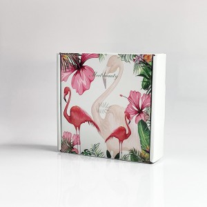 SPOT màu máy bay hộp inch áo sơ mi quần áo carton áo phông quần áo hộp bao